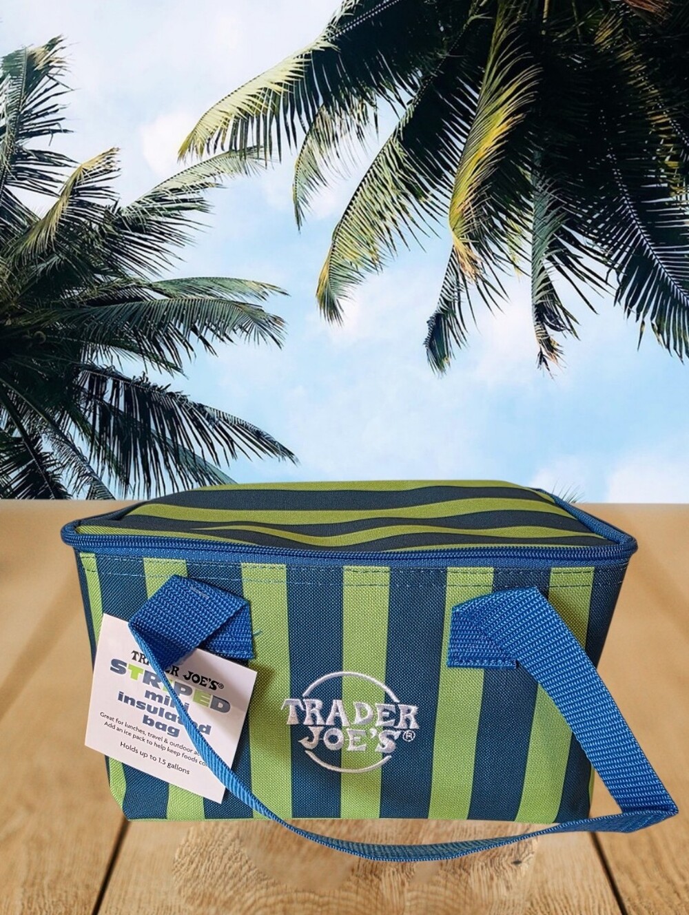 Trader Joe's Striped Mini Insulated Bag-Blue/Green
